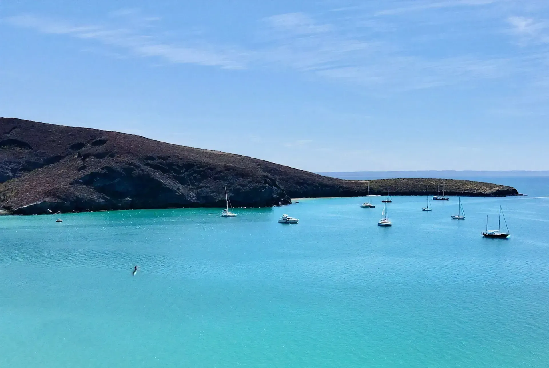 hero image of paradisiac island in sea of cortez